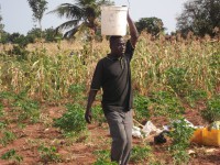/album/lafamtogo/togbe-au-seau-tete-jpg/