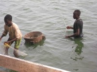 /album/lafamtogo/fish-men-jpg/